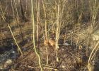 20160301_091050.jpg