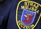 sm topielec.jpg